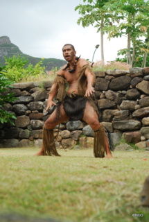 Les Marquises : un patrimoine mondial bientôt à l’Unesco Les Marquises : un patrimoine mondial bientôt à l’Unesco