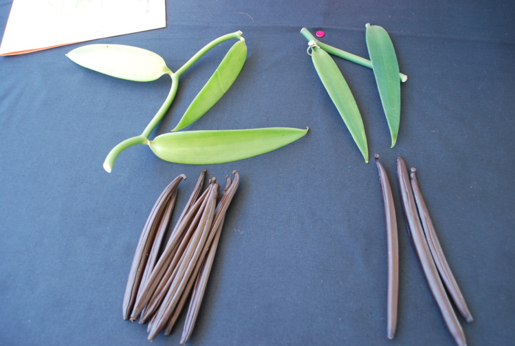 Agriculture : " Tous les dispositifs mis en place restent d'actualité"