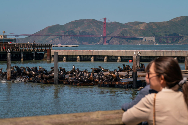 Crédit Loren Elliott / AFP Crédit Loren Elliott / AFP