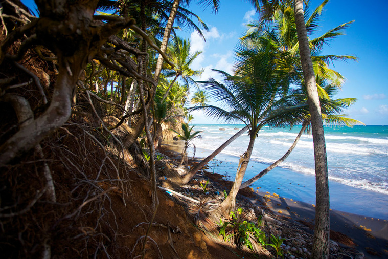 Cedrick Isham CALVADOS / AFP Cedrick Isham CALVADOS / AFP