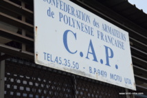 Loi sur les transports interinsulaires : les armateurs saisissent le Conseil d'Etat