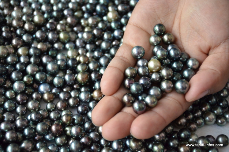 Promotion : 22 commerçants chinois découvrent la perle de Tahiti