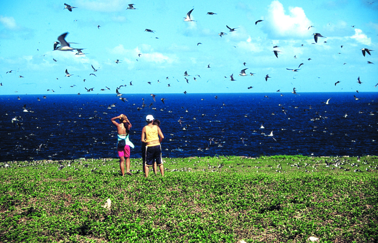 C’est parti pour une balade pas comme les autres. C’est parti pour une balade pas comme les autres.