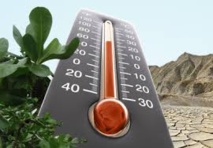 En 2015, la hausse des températures mondiales aura atteint + 1°C depuis l'ère pré-industrielle En 2015, la hausse des températures mondiales aura atteint + 1°C depuis l'ère pré-industrielle