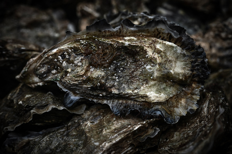 Philippe LOPEZ / AFP Philippe LOPEZ / AFP