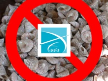 Pêche aux trocas interdite à Faa'a Pêche aux trocas interdite à Faa'a