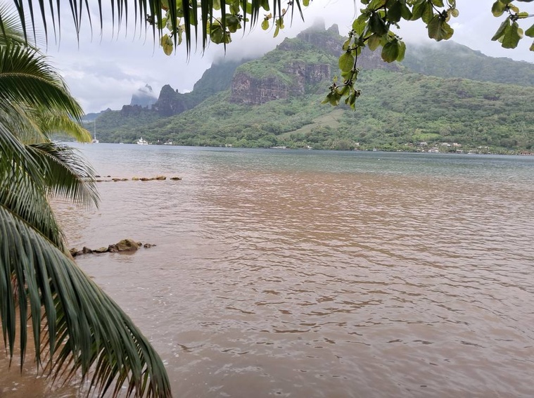 “La nature est violée, salie” “La nature est violée, salie”
