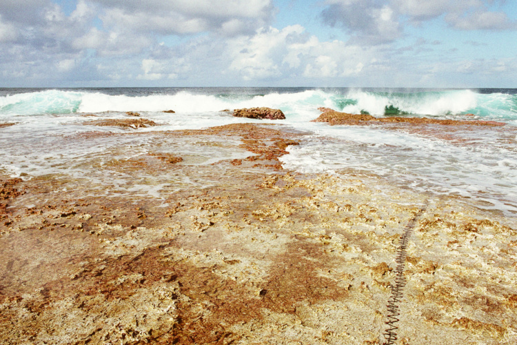 Dans le cadre de l'exposition "Face à l'immensité", organise étude et conférence Dans le cadre de l'exposition "Face à l'immensité", organise étude et conférence