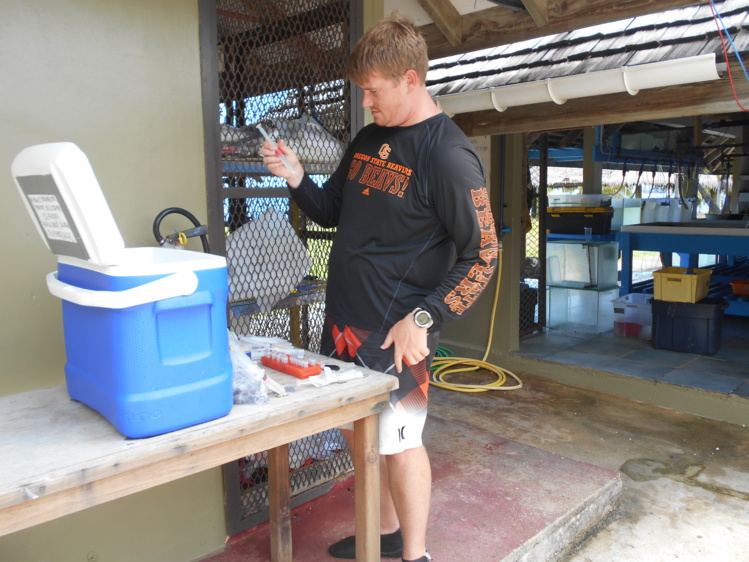 Les trois missions principales de la station Gump sont la promotion de la recherche, du service public et de l’éducation. Les trois missions principales de la station Gump sont la promotion de la recherche, du service public et de l’éducation.