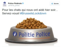 Opérations antiterroristes: la police belge offre des croquettes aux chats qui "l'ont aidée"