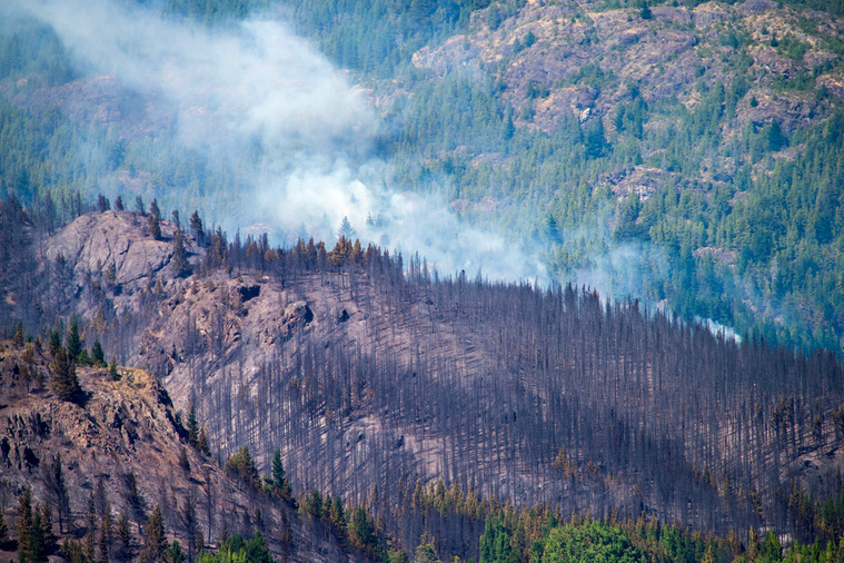 MARTIN LEVICOY / AFP MARTIN LEVICOY / AFP