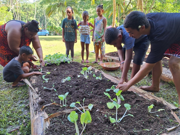 Des buttes de culture pour s’essayer au repiquage. Des buttes de culture pour s’essayer au repiquage.