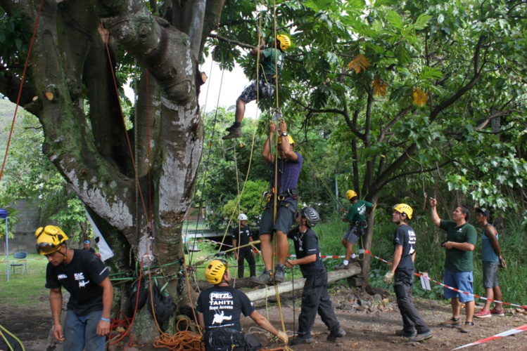 Les cordistes font démonstration de leur art à Paea