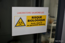 Le laboratoire Cairap refait à neuf pour mieux analyser eau et nourriture Le laboratoire Cairap refait à neuf pour mieux analyser eau et nourriture