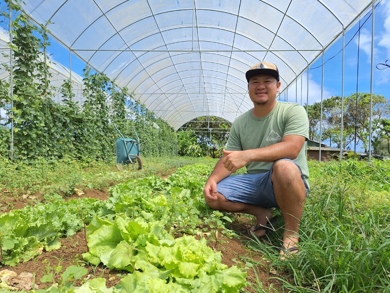 À la Ferme HP, Ittaï Yan poursuit ses tests sous trois serres (Crédit : Anne-Charlotte Lehartel). À la Ferme HP, Ittaï Yan poursuit ses tests sous trois serres (Crédit : Anne-Charlotte Lehartel).