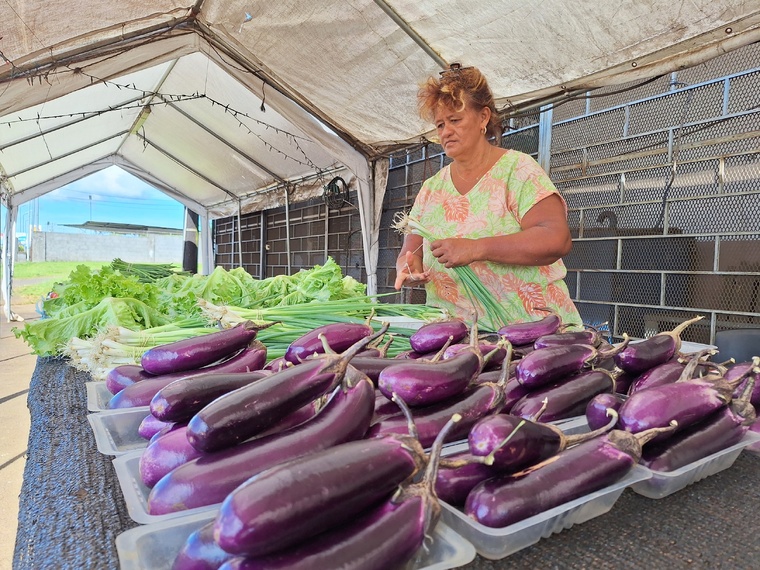 Les productions maraîchères en plein champ sont les plus impactées. Les productions maraîchères en plein champ sont les plus impactées.