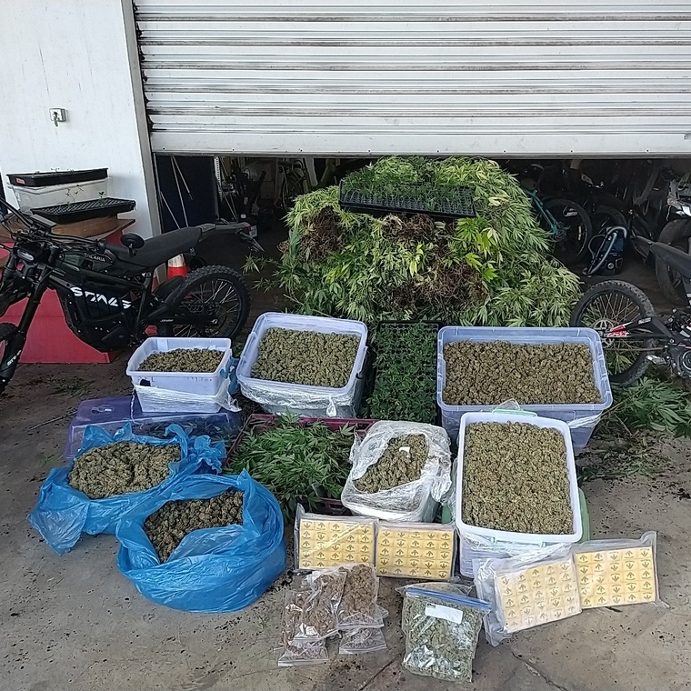 1082 pieds de paka découverts à Punaauia 1082 pieds de paka découverts à Punaauia