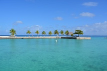 Hao est comme tous les atolls polynésiens entouré d'un lagon aux magnifiques eaux turquoises, mais la pollution industrielle est invisible avec des PCB dans les eaux lagonnaires, du PCB encore et des métaux lourds dans "le gazon algal". Hao est comme tous les atolls polynésiens entouré d'un lagon aux magnifiques eaux turquoises, mais la pollution industrielle est invisible avec des PCB dans les eaux lagonnaires, du PCB encore et des métaux lourds dans "le gazon algal".