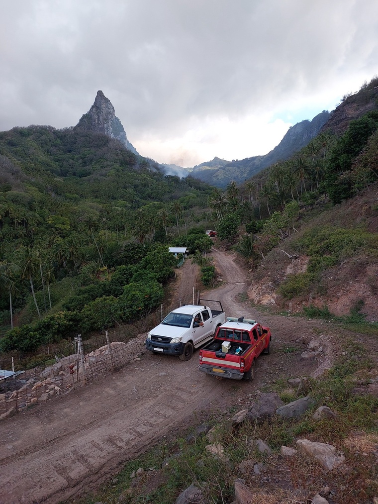 Ua Pou. Le fond de vallée de Hakahetau est en feu. Ua Pou. Le fond de vallée de Hakahetau est en feu.