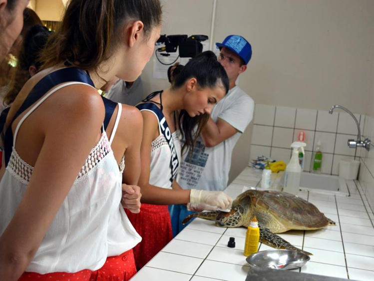 Jeudi matin, des candidates à Miss France 2016 accompagnées par Miss France 2015 elle-même étaient au centre de soins Te Mana o te Moana, à Moorea. Cette matinée a été dédiée à la découverte du travail de l'association.