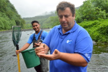 Yann Wolff, directeur de Marama Nui Yann Wolff, directeur de Marama Nui