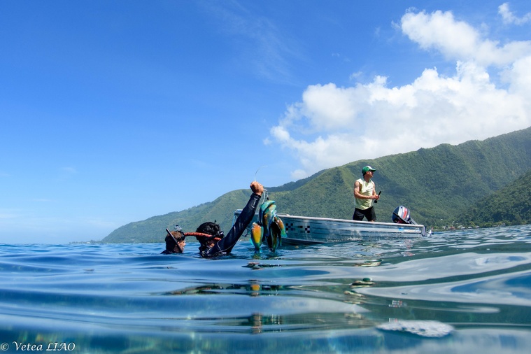 Crédit photo : Vetea Liao Crédit photo : Vetea Liao