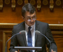 Budget outre-mer : l'amendement de Nuihau Laurey fâche George Pau-Langevin Budget outre-mer : l'amendement de Nuihau Laurey fâche George Pau-Langevin