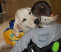 Poils doux et aboiements pour accompagner des enfants polyhandicapés vers le mieux-être