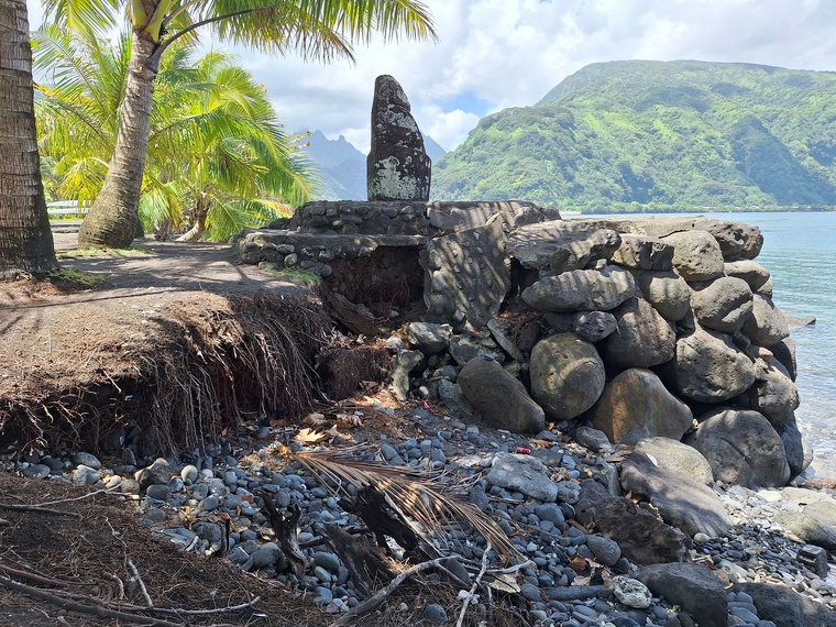 La stèle du tiki est à nouveau menacée par la houle. La stèle du tiki est à nouveau menacée par la houle.