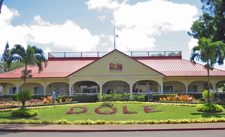 Au centre de l’île de Oahu, un million de touristes visitent chaque année la Dole Plantation, une reconstitution très commerciale de ce que fut une vraie plantation (avec un petit train et le plus grand labyrinthe végétal du monde). Au centre de l’île de Oahu, un million de touristes visitent chaque année la Dole Plantation, une reconstitution très commerciale de ce que fut une vraie plantation (avec un petit train et le plus grand labyrinthe végétal du monde).