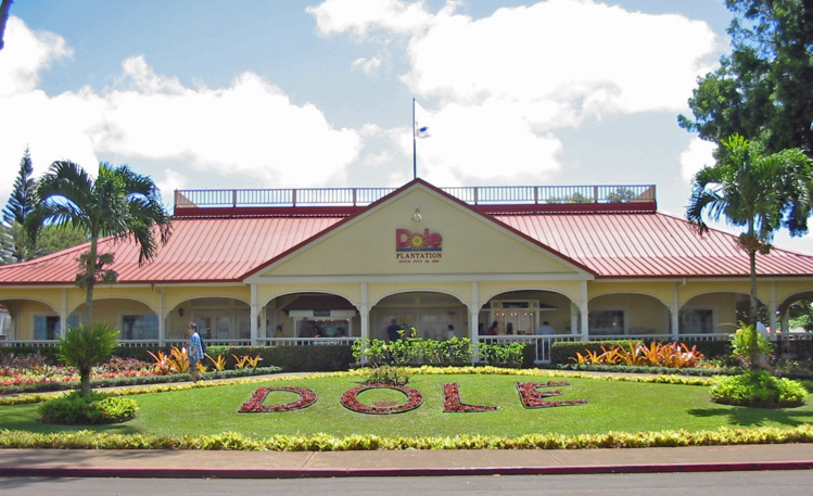 Au centre  de l’île de Oahu, un million de touristes visitent chaque année la Dole Plantation, une reconstitution très commerciale de ce que fut une vraie plantation (avec un petit train et le plus grand labyrinthe végétal du monde).