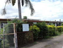 A Tauturu ia na garde son local rue Wallis