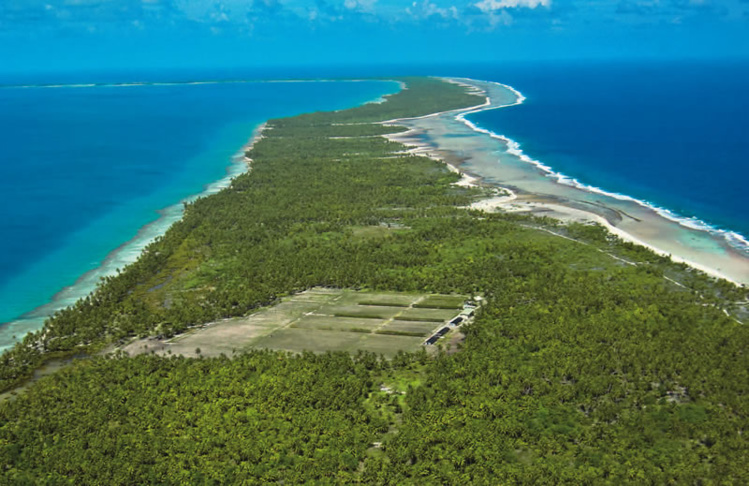 À Rangiroa, la vigne pousse sur l'atoll À Rangiroa, la vigne pousse sur l'atoll