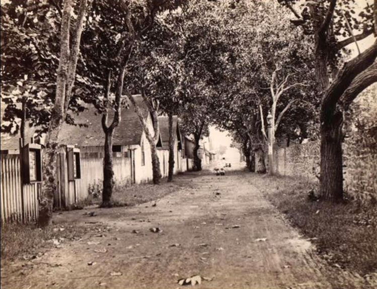 La rue de la Petite-Pologne vers 1890, un chemin de terre très campagnard.