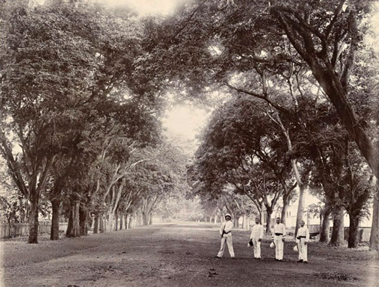 L’avenue Bruat conduisant à Sainte Amélie en 1900