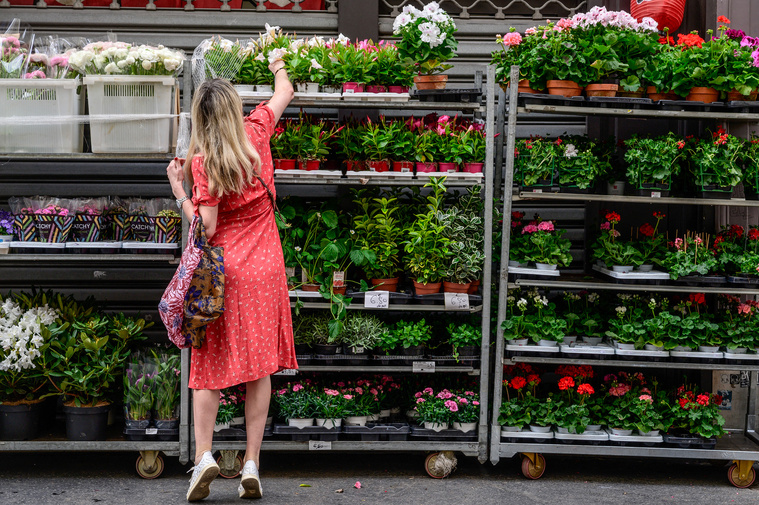 Crédit BERTRAND GUAY / AFP Crédit BERTRAND GUAY / AFP