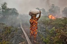 Indonésie: les incendies de forêts vont coûter 1,9% du PIB (Banque mondiale)