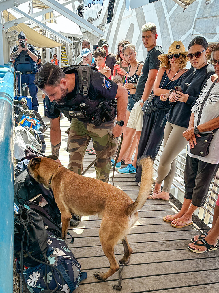 Trafic de stup', l'État hausse le ton Trafic de stup', l'État hausse le ton