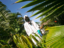 Crédit RICHARD BOUHET / AFP Crédit RICHARD BOUHET / AFP