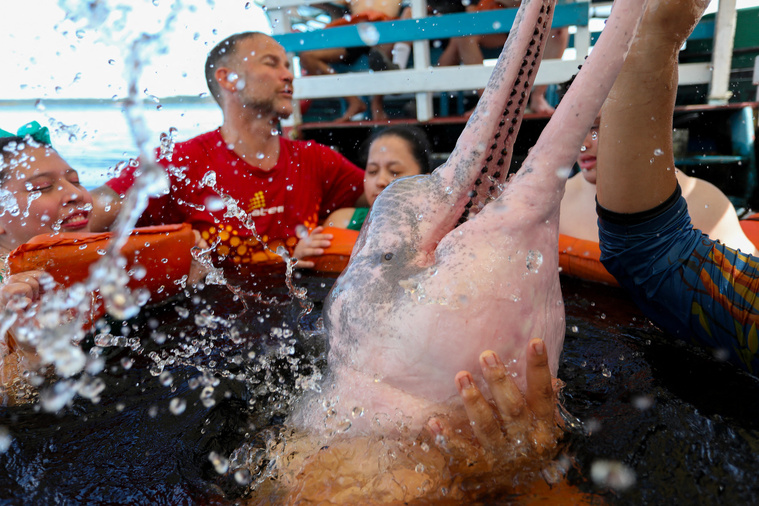 MICHAEL DANTAS / AFP MICHAEL DANTAS / AFP