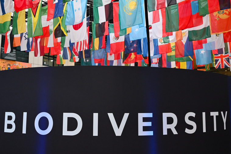 Crédit Alberto PIZZOLI / AFP