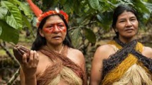 Les Indiens d'Amazonie renouvellent leurs traditions pour défendre la biodiversité Les Indiens d'Amazonie renouvellent leurs traditions pour défendre la biodiversité