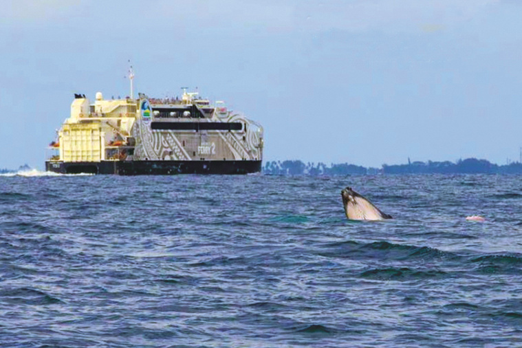 © Oceania © Oceania