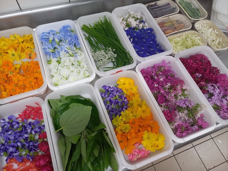 Repas local et floral à l’école hôtelière Repas local et floral à l’école hôtelière