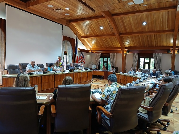 Le Cesec dit non à la réforme du code du travail Le Cesec dit non à la réforme du code du travail