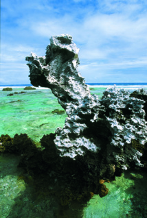 Un monstre marin ? Simplement le résultat de l'érosion sur le substrat calcaire de l'atoll, depuis qu’il s'est surélevé.