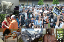 Polynésie: Avez-vous bien suivi l'actualité en 2015 ? (Quiz)