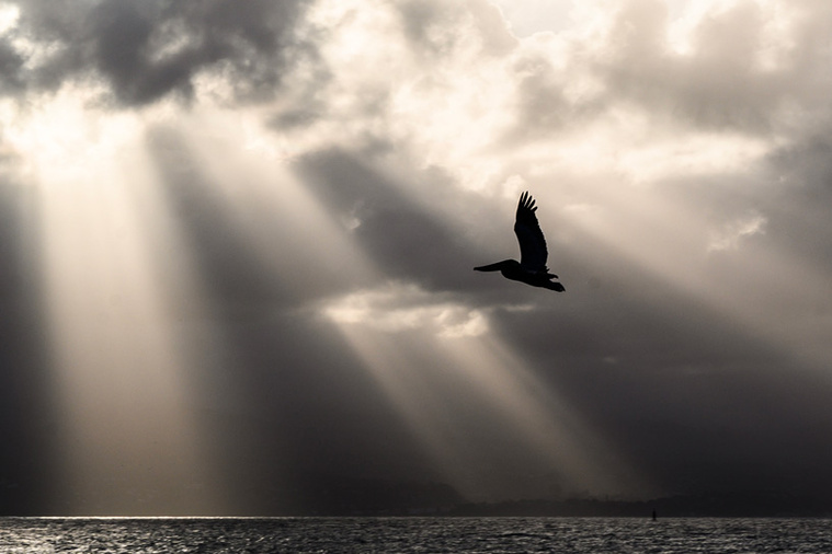 LOIC VENANCE / AFP LOIC VENANCE / AFP