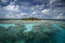Toute l'équipe de Tahiti Infos vous souhaite ses meilleurs vœux pour la nouvelle année. Toute l'équipe de Tahiti Infos vous souhaite ses meilleurs vœux pour la nouvelle année.