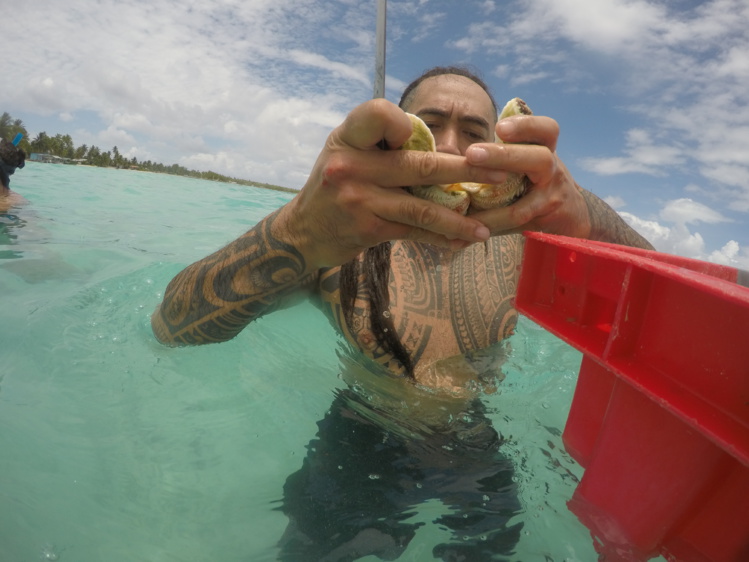 Production en baisse pour la pêche hauturière Production en baisse pour la pêche hauturière